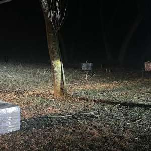 Țigări de contrabandă reținute cu focuri de armă la frontiera cu Republica Moldova