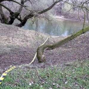 Cinci cetățeni străini și trei traficanți de migranți depistați la frontiera de est