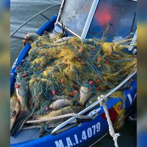 2.000 metri de plase fir textil cu 170 kilograme de pește descoperite de poliţiştii de frontieră în Biosfera Delta Dunării