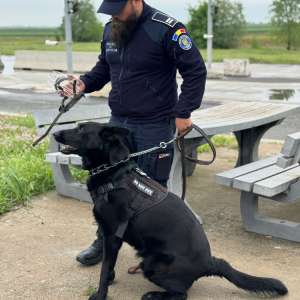 Results recorded at the border in the last 24 hours
