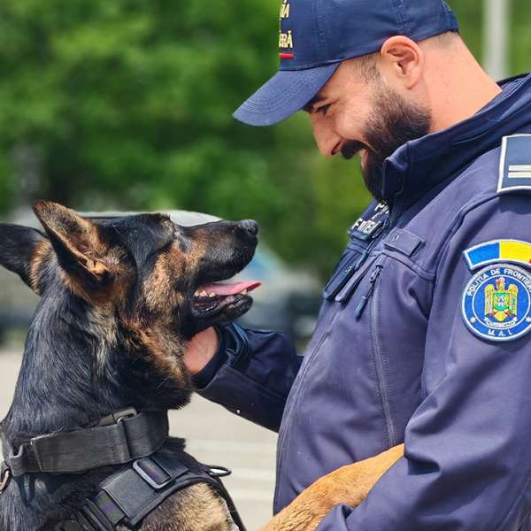 Rezultate înregistrate la frontieră în ultimele 24 de ore