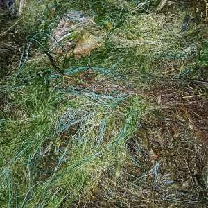 Polițiștii de frontieră curăță apele de plase de pescuit ilegale