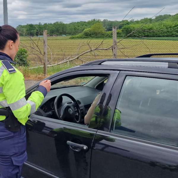 Results recorded at the border in the last 24 hours
