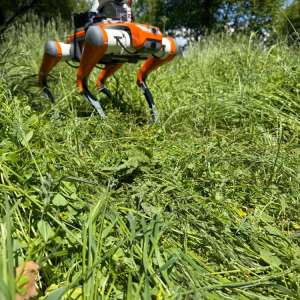 Digital Border Modeling - Romania hosts an international stage of the \