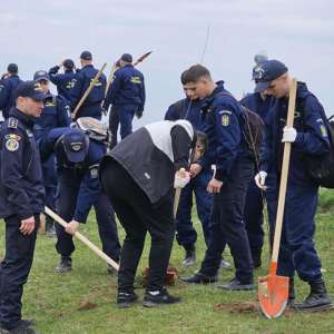 „Plantăm Speranță”. „Un eveniment în care natura și arta se împletesc pentru a aduce culoare și speranță în comunitate”.