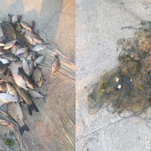 1.400 metri plasă monofilament și 24 kilograme de pește capturat ilegal, descoperite de către polițiștii de frontieră tulceni