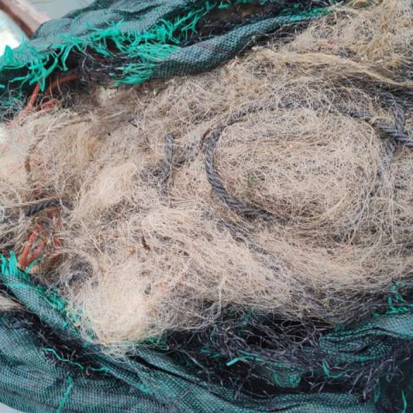 Doi brăileni desfășurau activități de pescuit comercial fără a deține autorizațiile necesare