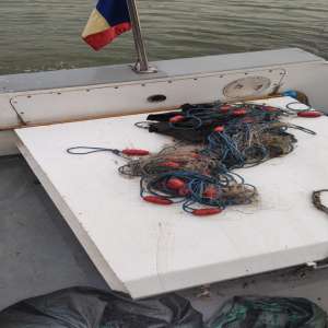 Doi brăileni desfășurau activități de pescuit comercial fără a deține autorizațiile necesare