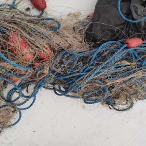 Doi brăileni desfășurau activități de pescuit comercial fără a deține autorizațiile necesare