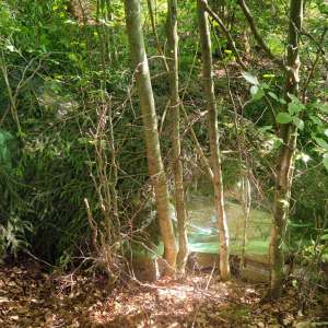 Țigări în valoare de peste 1,7 milioane lei, confiscate la frontiera de nord