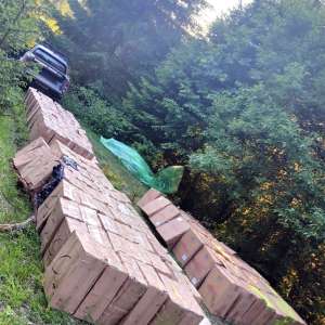 Țigări în valoare de peste 1,7 milioane lei, confiscate la frontiera de nord