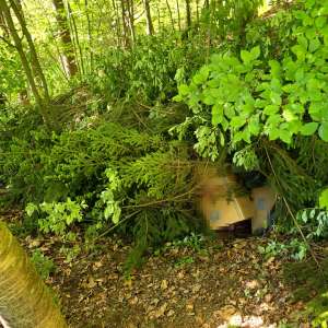 Țigări în valoare de peste 1,7 milioane lei, confiscate la frontiera de nord