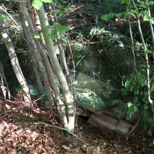 Țigări în valoare de peste 1,7 milioane lei, confiscate la frontiera de nord