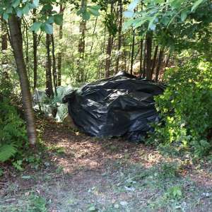 Țigări în valoare de peste 1,7 milioane lei, confiscate la frontiera de nord