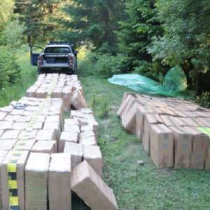 Țigări în valoare de peste 1,7 milioane lei, confiscate la frontiera de nord