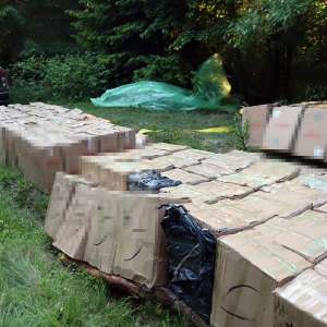 Țigări în valoare de peste 1,7 milioane lei, confiscate la frontiera de nord