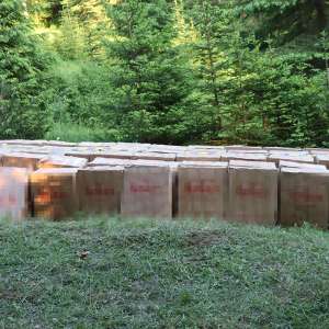 Țigări în valoare de peste 1,7 milioane lei, confiscate la frontiera de nord