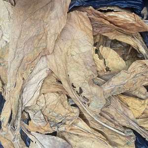 Aproximativ o tonă de tutun vrac ascunsă într-un microbuz cu varză