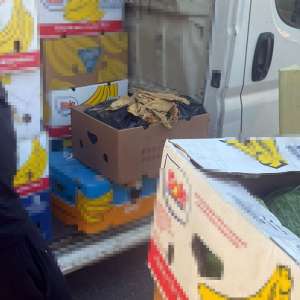 Aproximativ o tonă de tutun vrac ascunsă într-un microbuz cu varză