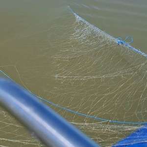 Peste un kilometru de plase ilegale scoase de polițiștii de frontieră de pe râul Prut