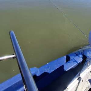 Peste un kilometru de plase ilegale scoase de polițiștii de frontieră de pe râul Prut