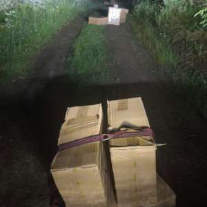 Țigări în valoare de peste 40.000 de euro confiscate la frontiera de nord