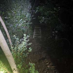 Țigări în valoare de peste 40.000 de euro confiscate la frontiera de nord