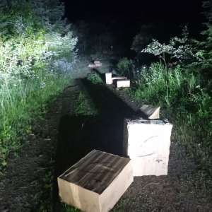 Țigări în valoare de peste 40.000 de euro confiscate la frontiera de nord