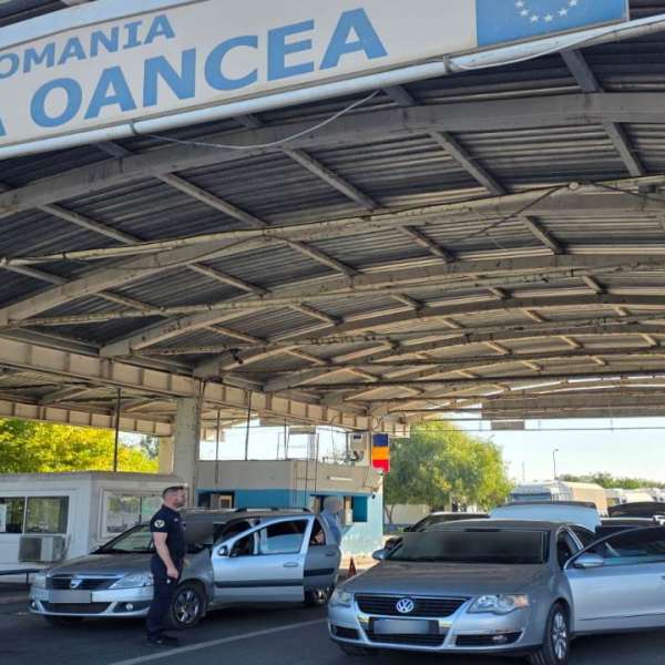 Șofer profesionist în baza unui permis de conducere fals