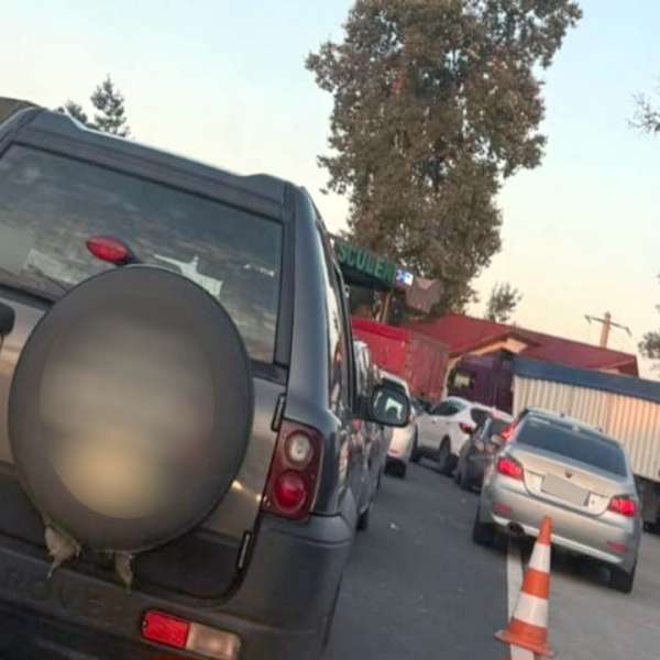 Permis de conducere moldovenesc fals, descoperit la controlul de frontieră