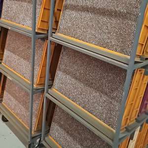 Nouă inculpați care făceau parte din grupul infracțional organizat specializat în fabricarea ilegală a țigărilor, reținuți