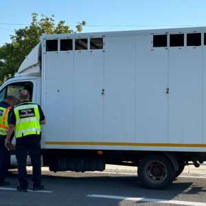 1.400 de persoane verificate împreună cu poliția maghiară, dar și în sistem integrat alături de autoritățile din județul Satu Mare