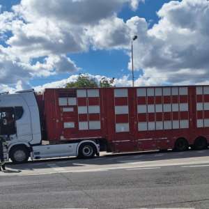 Forțe unite pentru siguranță la frontieră: acțiune integrată cu rezultate semnificative la granița cu Ungaria