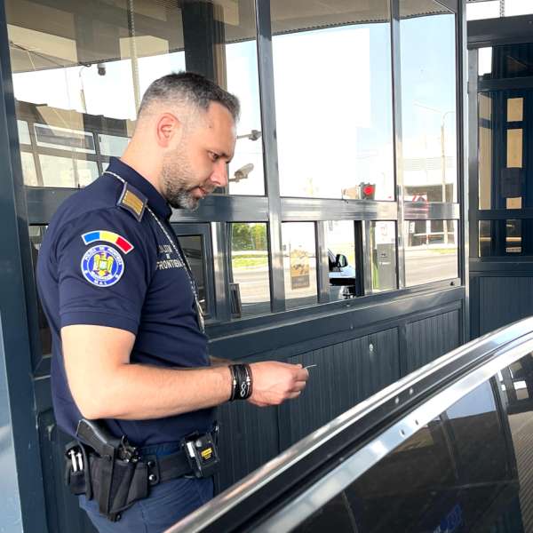 La volan cu permis de conducere fals