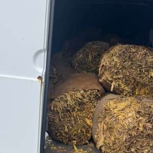 Conferința de presă referitoare la combaterea contrabandei cu tutun și a infracționalității la regimul armelor și munițiilor