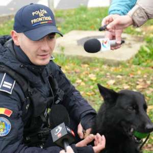 Peste 186 de milioane de țigarete de contrabandă capturate de autorități în 2025 - de peste trei ori mai mult decât în 2024