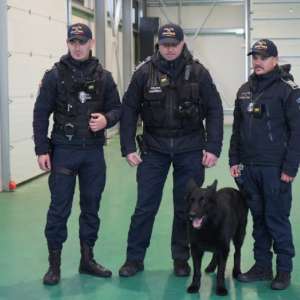 Peste 186 de milioane de țigarete de contrabandă capturate de autorități în 2025 - de peste trei ori mai mult decât în 2024