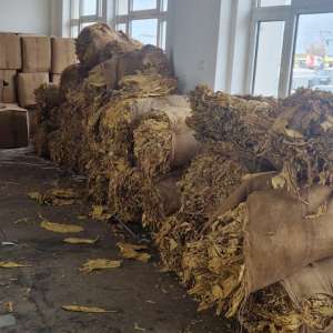 Aproximativ o tonă de tutun vrac descoperită de către polițiștii de frontieră giurgiuveni într-un microbuz