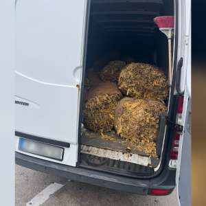 Aproximativ o tonă de tutun vrac descoperită de către polițiștii de frontieră giurgiuveni într-un microbuz