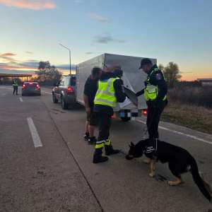 Acțiune cu forțe mărite la frontiera de vest: au fost aplicate sancţiuni contravenţionale în valoare de aproximativ 80.000 de lei