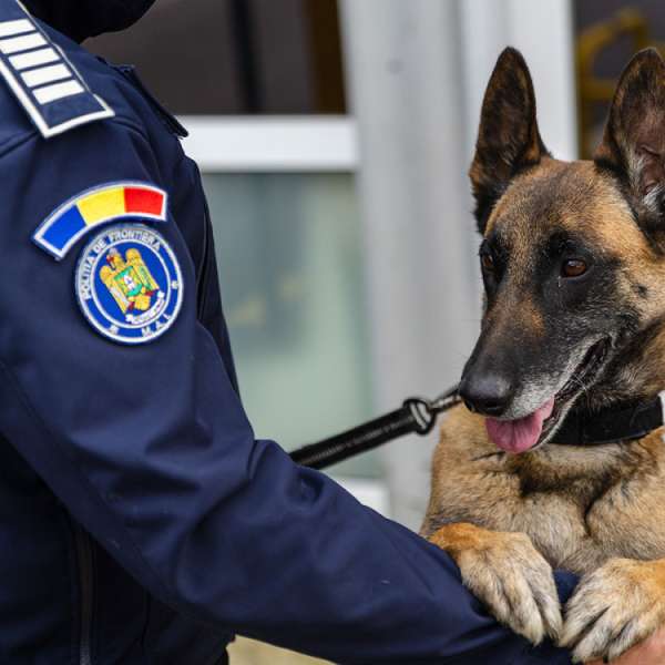 Rezultate înregistrate la frontieră în ultimele 24 de ore