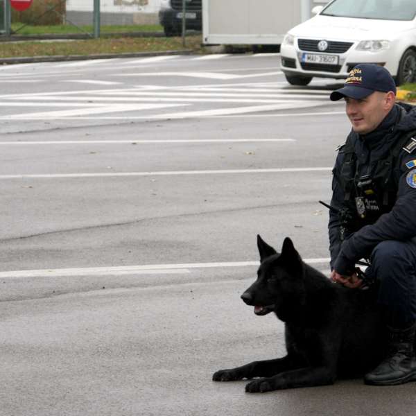 Rezultate înregistrate la frontieră în ultimele 24 de ore