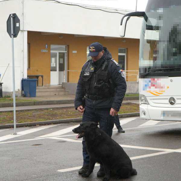 Rezultate înregistrate la frontieră în ultimele 24 de ore