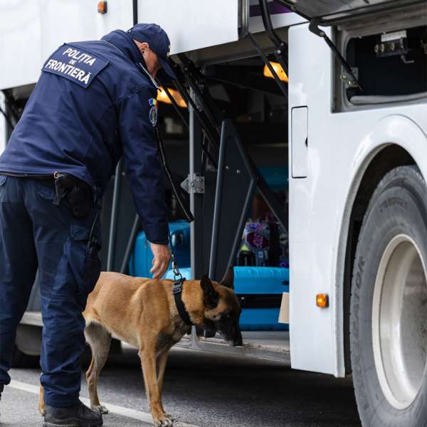 Rezultate înregistrate la frontieră în ultimele 24 de ore