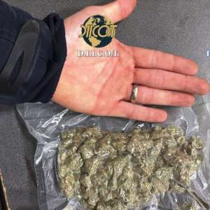  Cetățean israelian arestat preventiv după ce polițiștii de frontieră au descoperit în autoturismul condus de acesta peste 100 grame de canabis