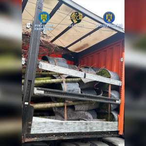 Turc depistat de polițiștii de frontiera giurgiuveni cu 37 de kilograme de canabis ascunse într-o semiremorcă încărcată cu arbuști ornamentali