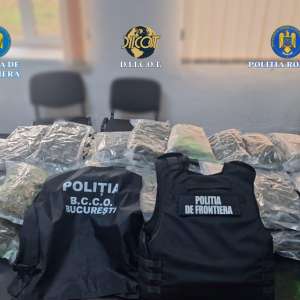 Turc depistat de polițiștii de frontiera giurgiuveni cu 37 de kilograme de canabis ascunse într-o semiremorcă încărcată cu arbuști ornamentali