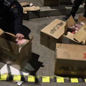 Parfumuri contrafăcute în valoare de aproximativ cinci milioane lei, descoperite de polițiștii de frontieră doljeni