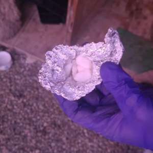 Percheziții domiciliare pentru trafic de droguri de risc şi de mare risc - trei inculpați reținuți