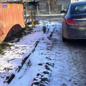 Conducere fără permis și încredinţare isprava unor ieşeni